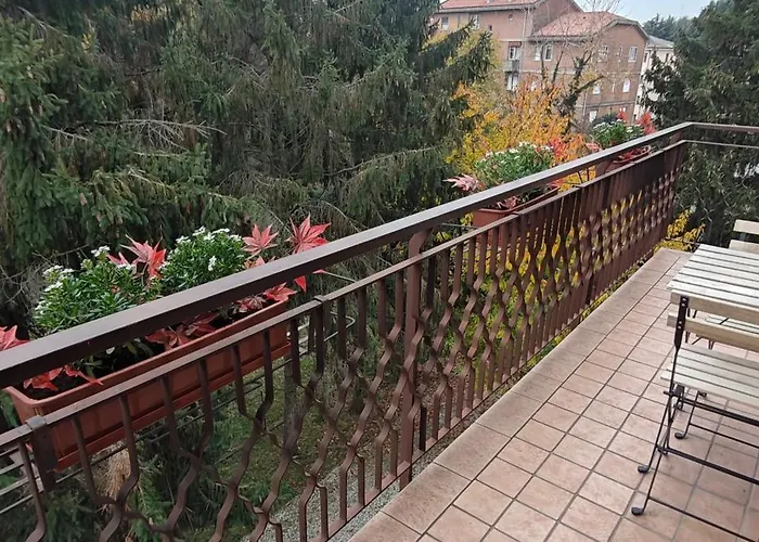 Oasi Verde