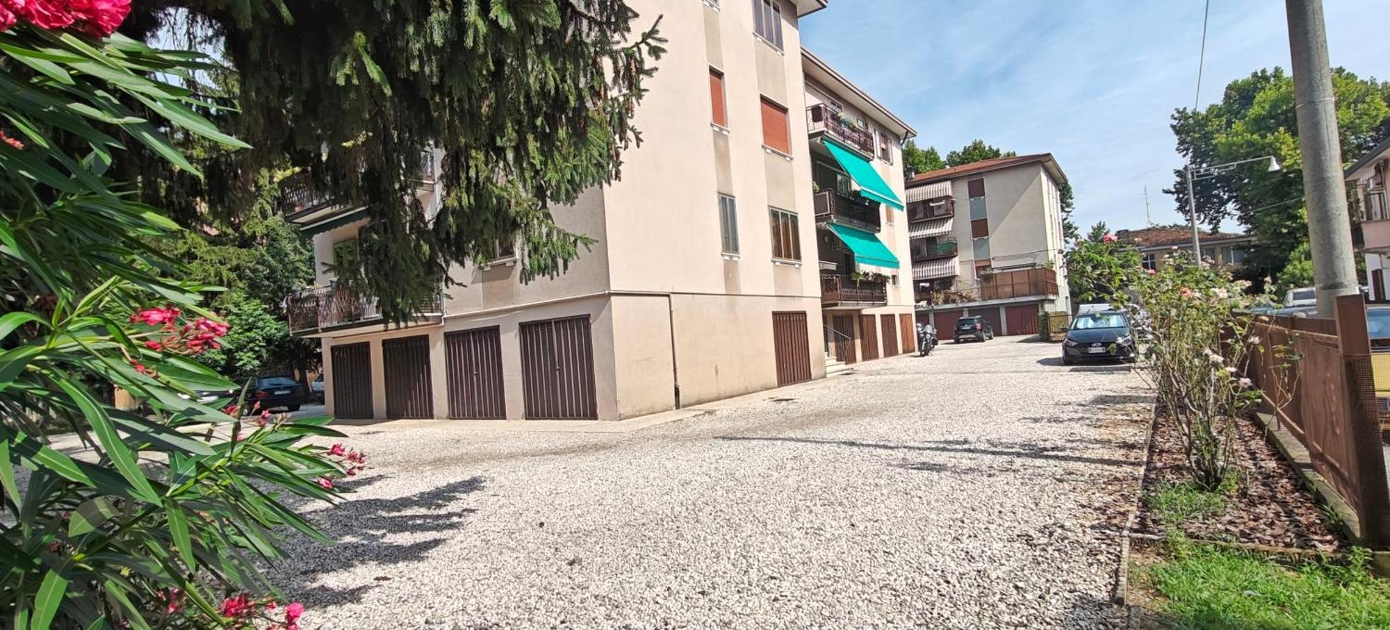 Oasi
