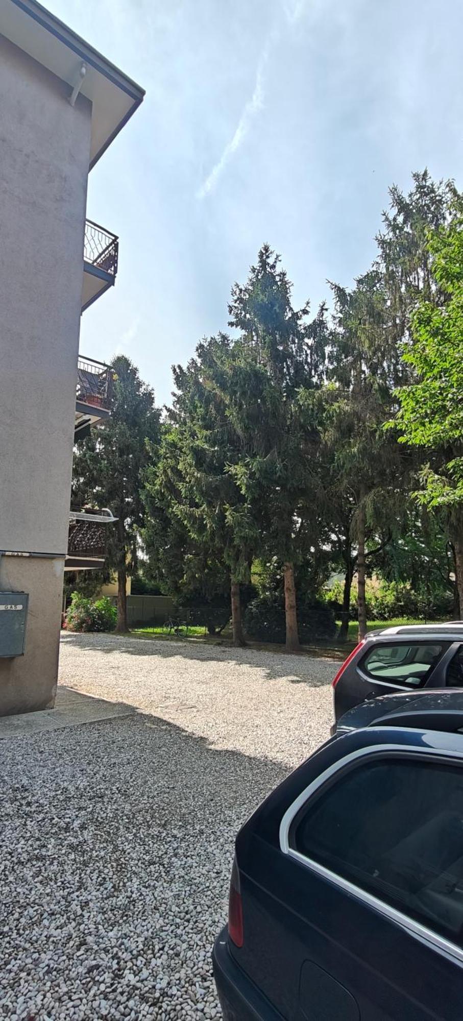 Oasi Apartment